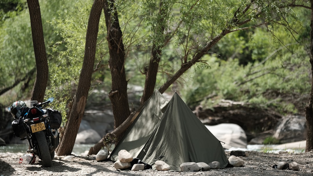 Explore the World: Your Ultimate Guide to Travel Camper Adventures